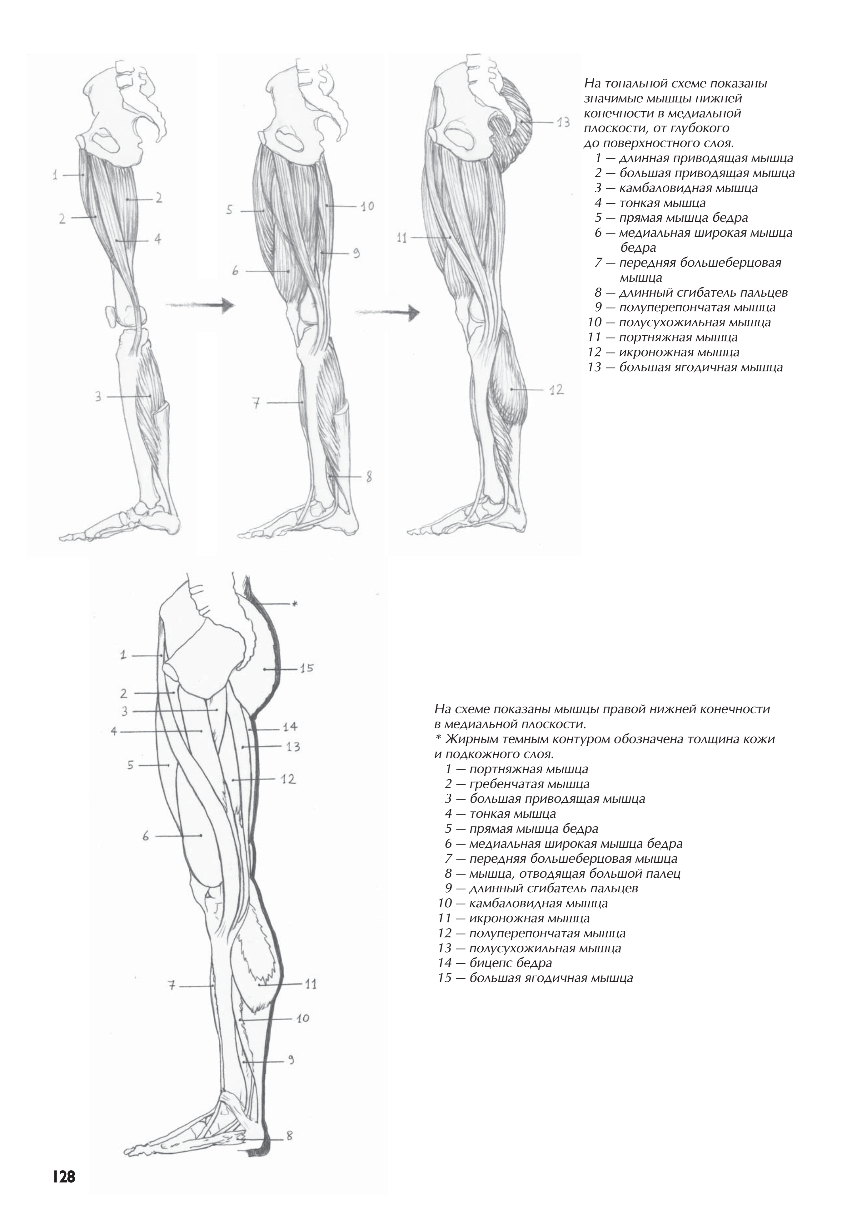 آموزش نقاشی طراحی سیاه قلم شهرری
